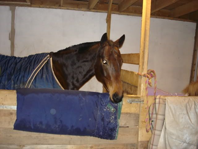 DSC06744.jpg