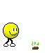 11.gif