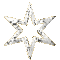 silverstar.gif