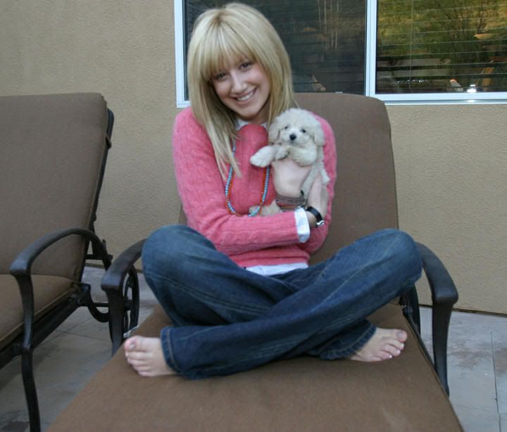 puppie23151.jpg This is Ashley Tisdale and her dog Blondie image by 1Gabby0 puppie23151.jpg This is Ashley Tisdale and her dog Blondie image by 1Gabby0