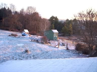 Finally!  And now some serious questions. - Goats