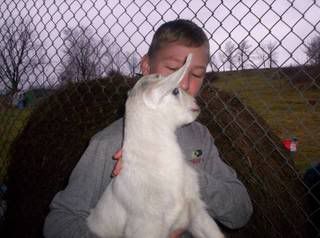 12 pound kid - Goats