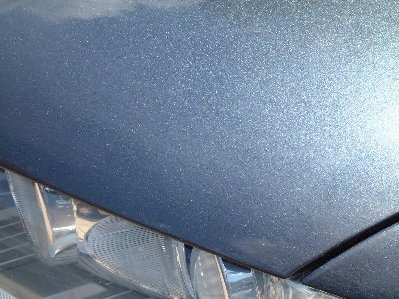 DSCF1486.jpg
