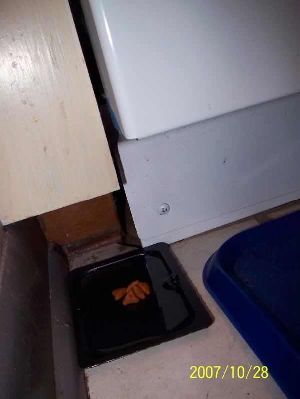 [Linked Image from i60.photobucket.com]