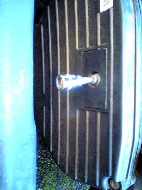 picture00634.jpg