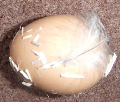 Hermionesegg.jpg