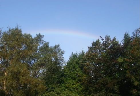 Rainbow11008001-1.jpg