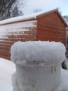 SnowDec20th09003.jpg