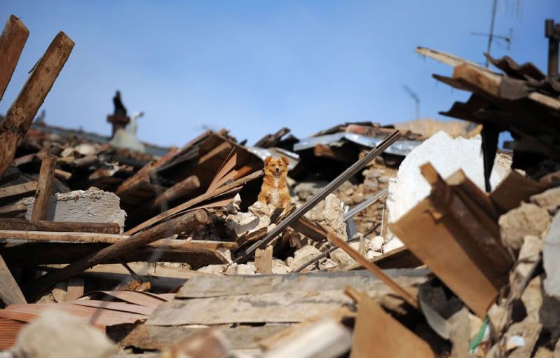 liebe oder doch nur freundschaft. und das Leben siegt doch!