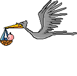 stork animation