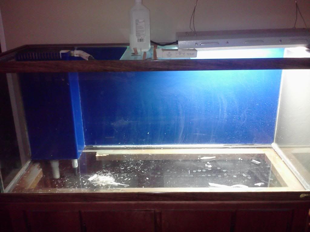 I need aquariumsafe twopart epoxy paint The Planted Tank Forum