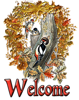 WELCOME%20WOODPECKER%20AND%20OTHER%20BIR
