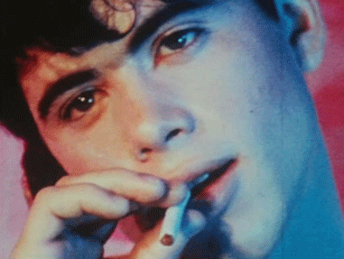 Pink_Narcissus_gif photo Pink_Narcissus_gif_zps80c81db4.gif