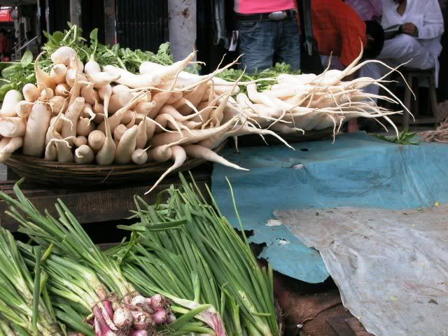 Radish and some other greens