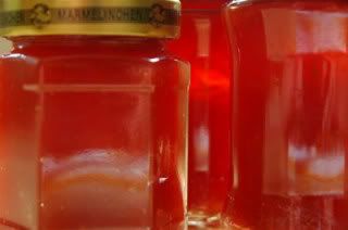 Mango Strawberry Jam