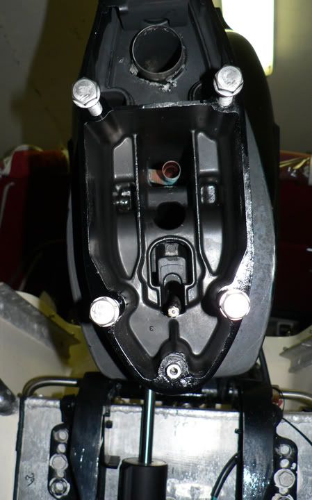 P1040822_edited-1.jpg