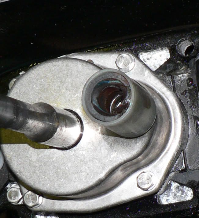 P1040823_edited-2.jpg