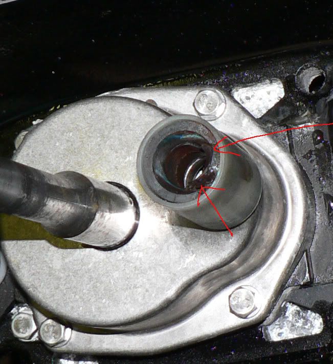 P1040823_edited-3.jpg