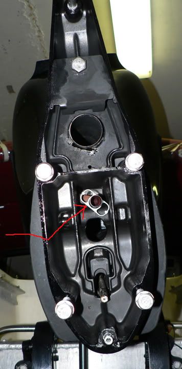 P1040826_edited-2.jpg