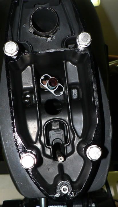 P1040827_edited-1.jpg
