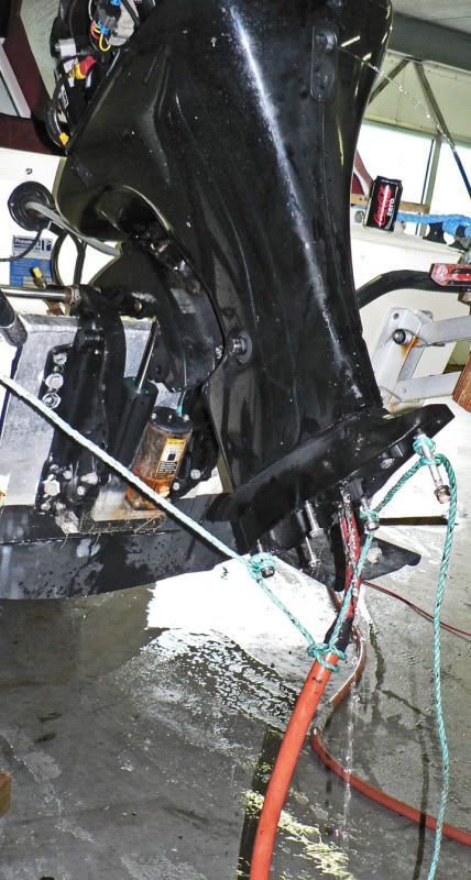 P1040829_edited-1.jpg