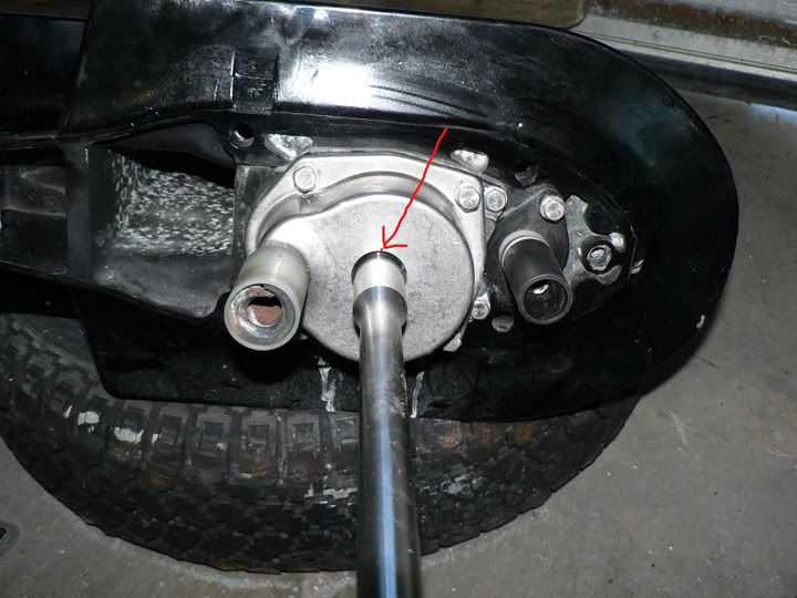 P1040839_edited-1.jpg