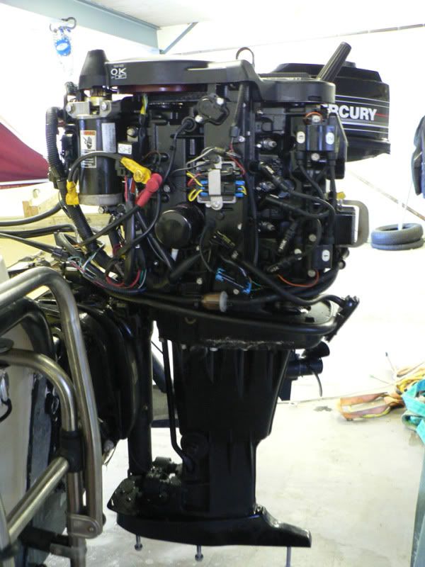 P1040849_edited-1.jpg