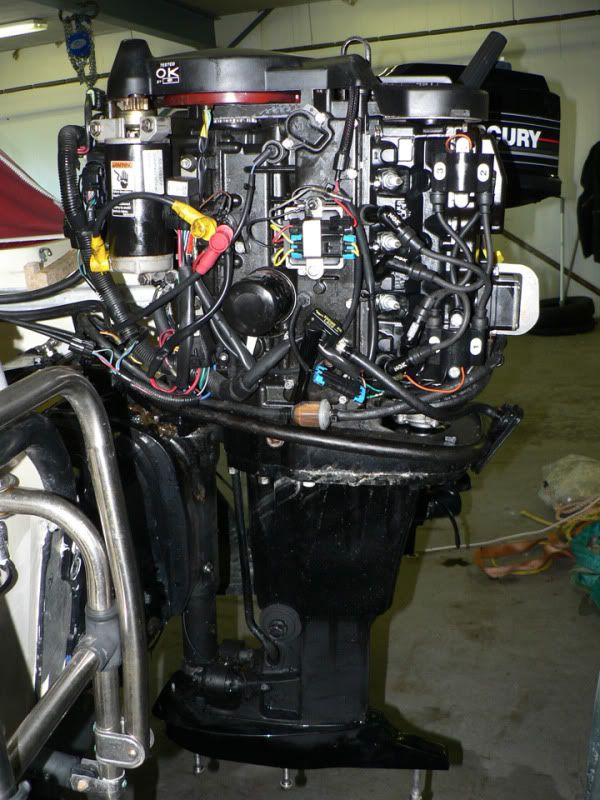 P1040850_edited-1.jpg