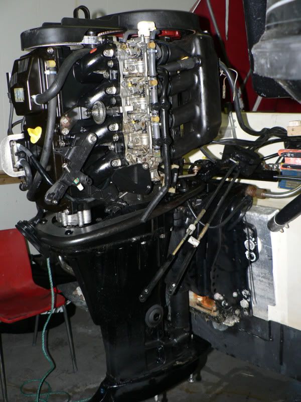 P1040851_edited-1.jpg