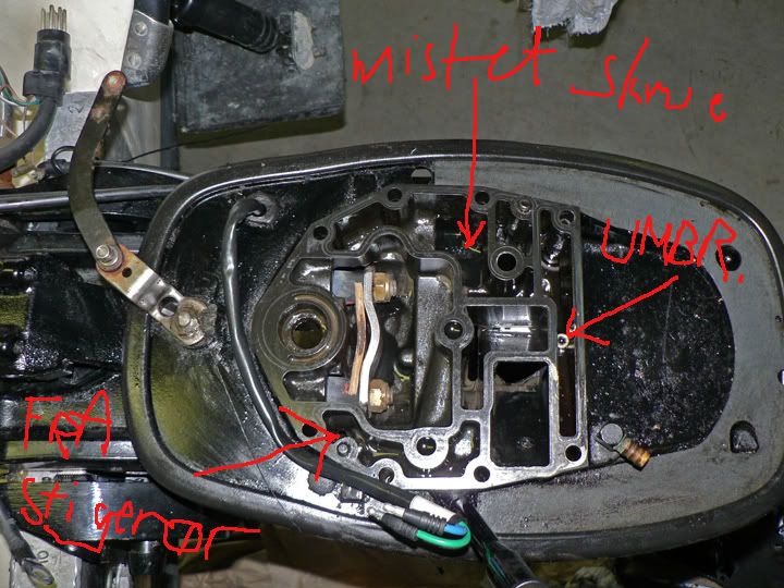 P1040872_edited-2.jpg