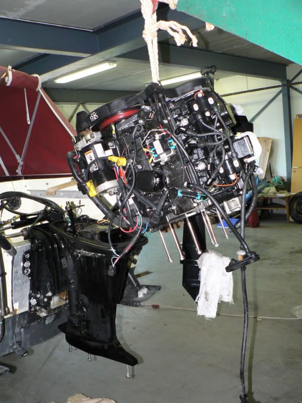 P1040881_edited-1.jpg