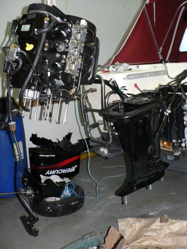 P1040882_edited-1.jpg