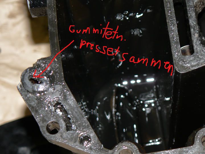 P1040885_edited-1.jpg
