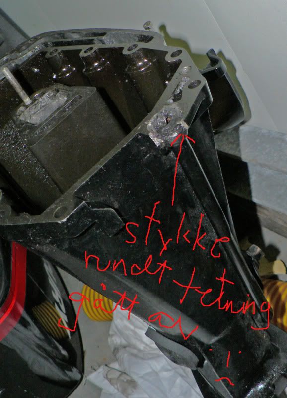 P1040900_edited-1.jpg