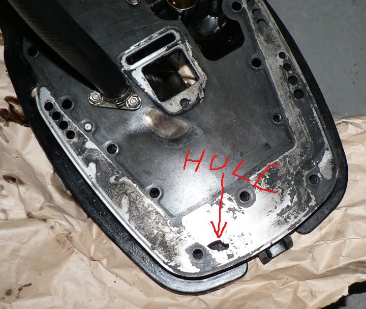 P1050005_edited-1.jpg