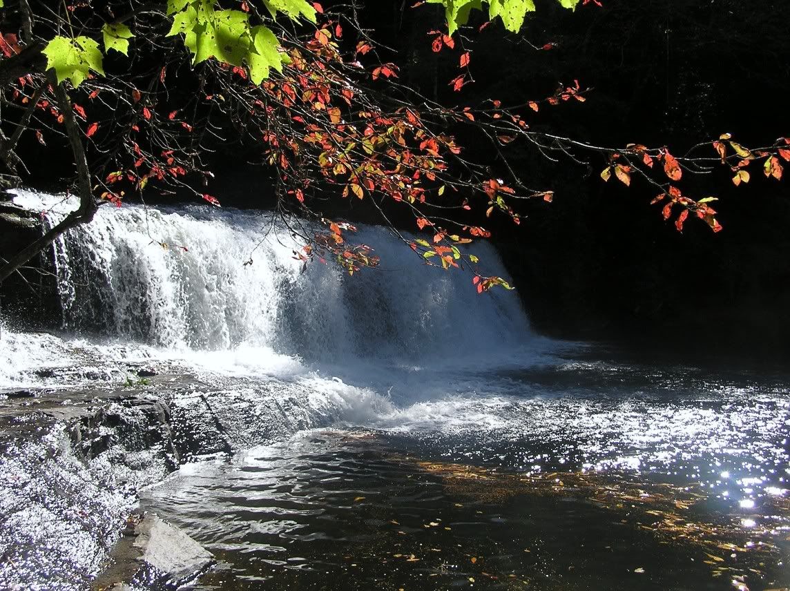 myspacefl7.jpg Beautiful waterfall in the mountains image by slcannon777