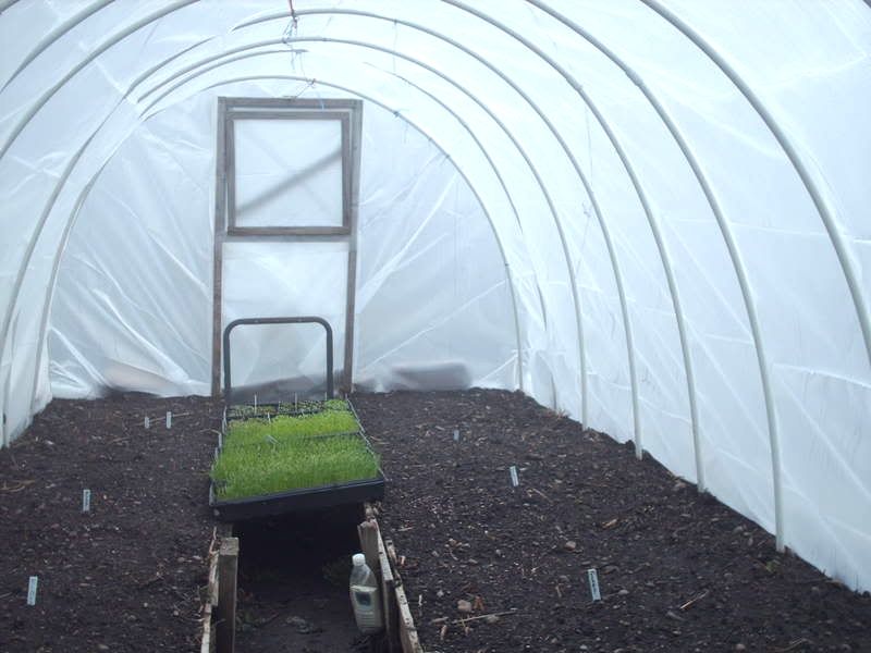 Greenhouses002.jpg