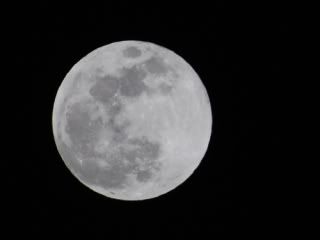 full-moon-2009.jpg