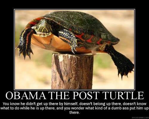 obamathepostturtle.jpg