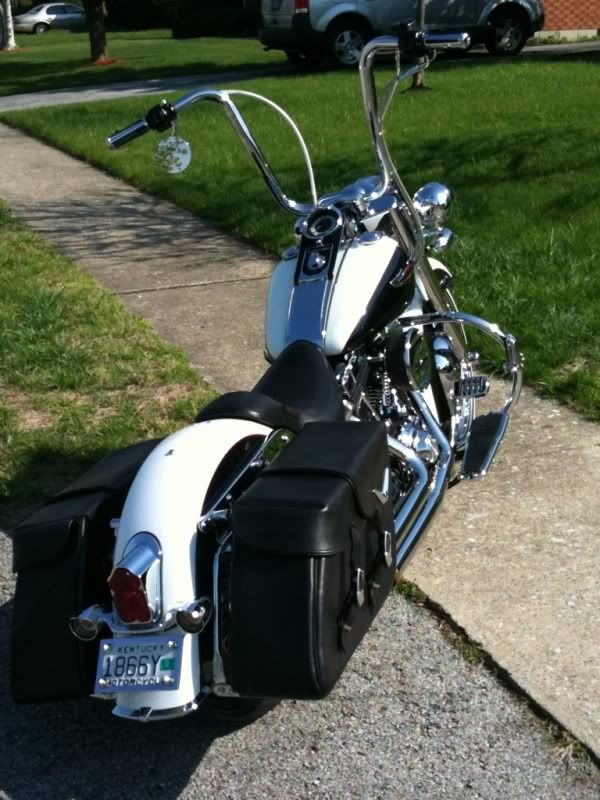 FLSTN Saddlebags. - Page 4 - Harley Davidson Forums