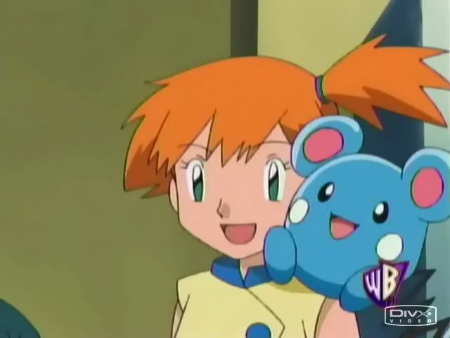 pokemon advanced battle essay pokemon advanced battle essay
