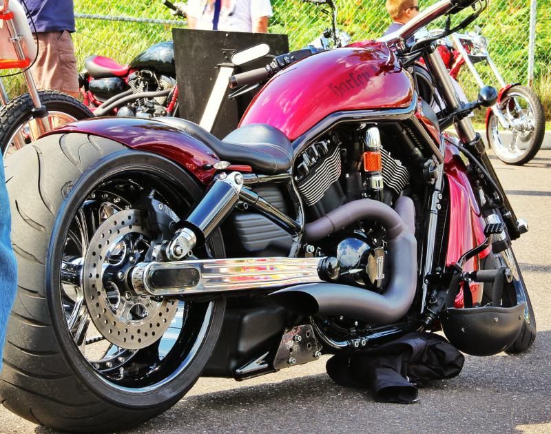 v rod with apes