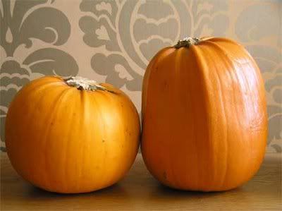 Pumpkins Pictures, Images and Photos