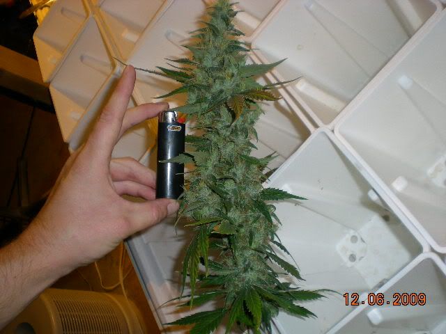 DSCN6866.jpg