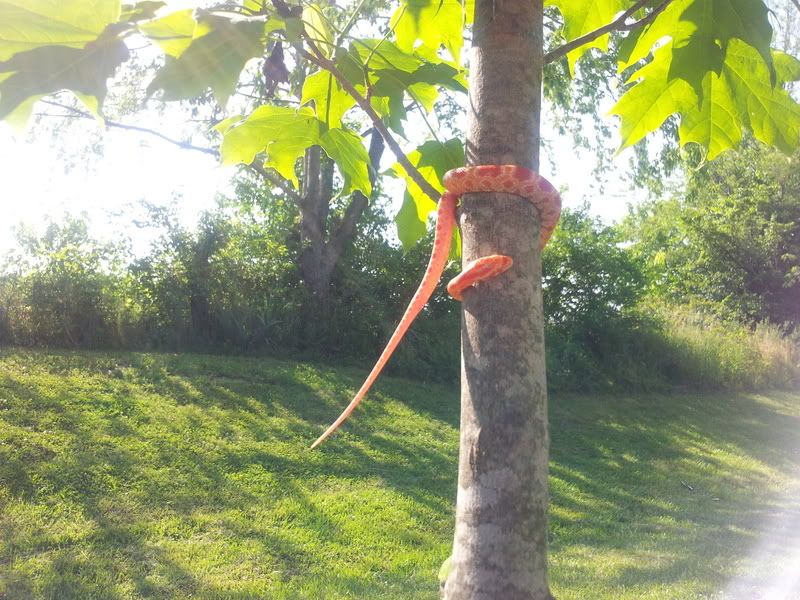 2012-05-23172223.jpg