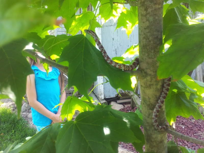 2012-05-26105528.jpg