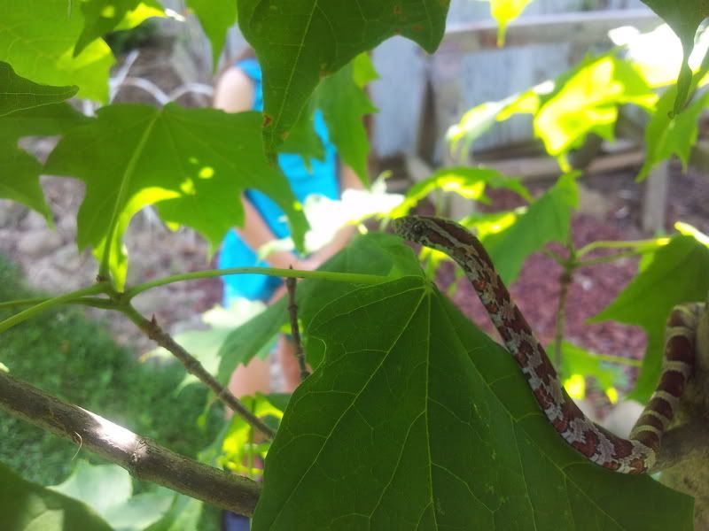 2012-05-26105555.jpg