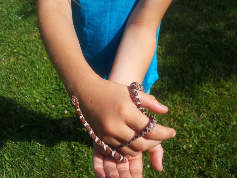 2012-05-26105756.jpg