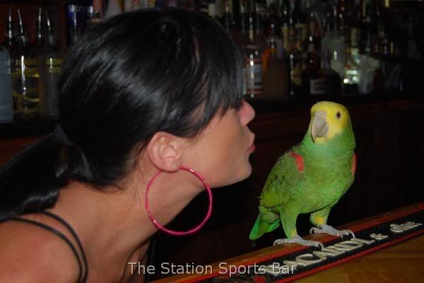 bartenders on minute to win it. artenders on minute to win it