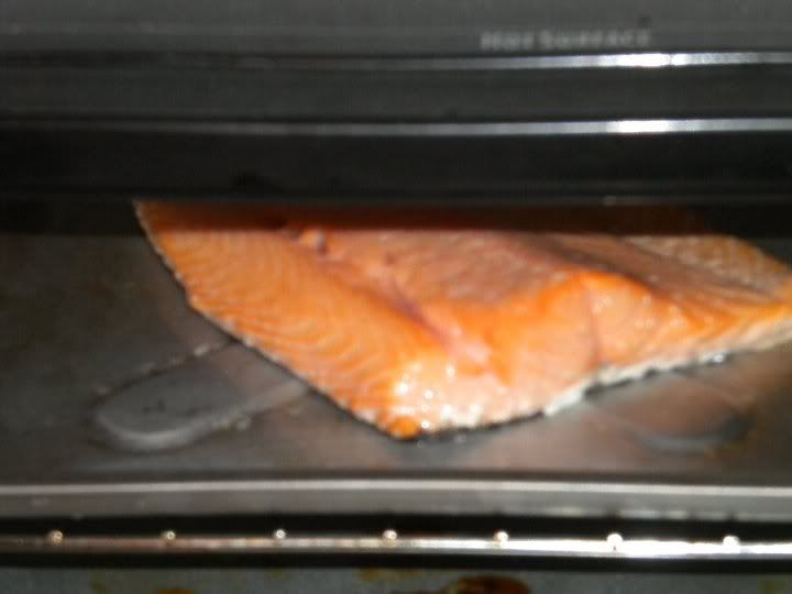 Salmon